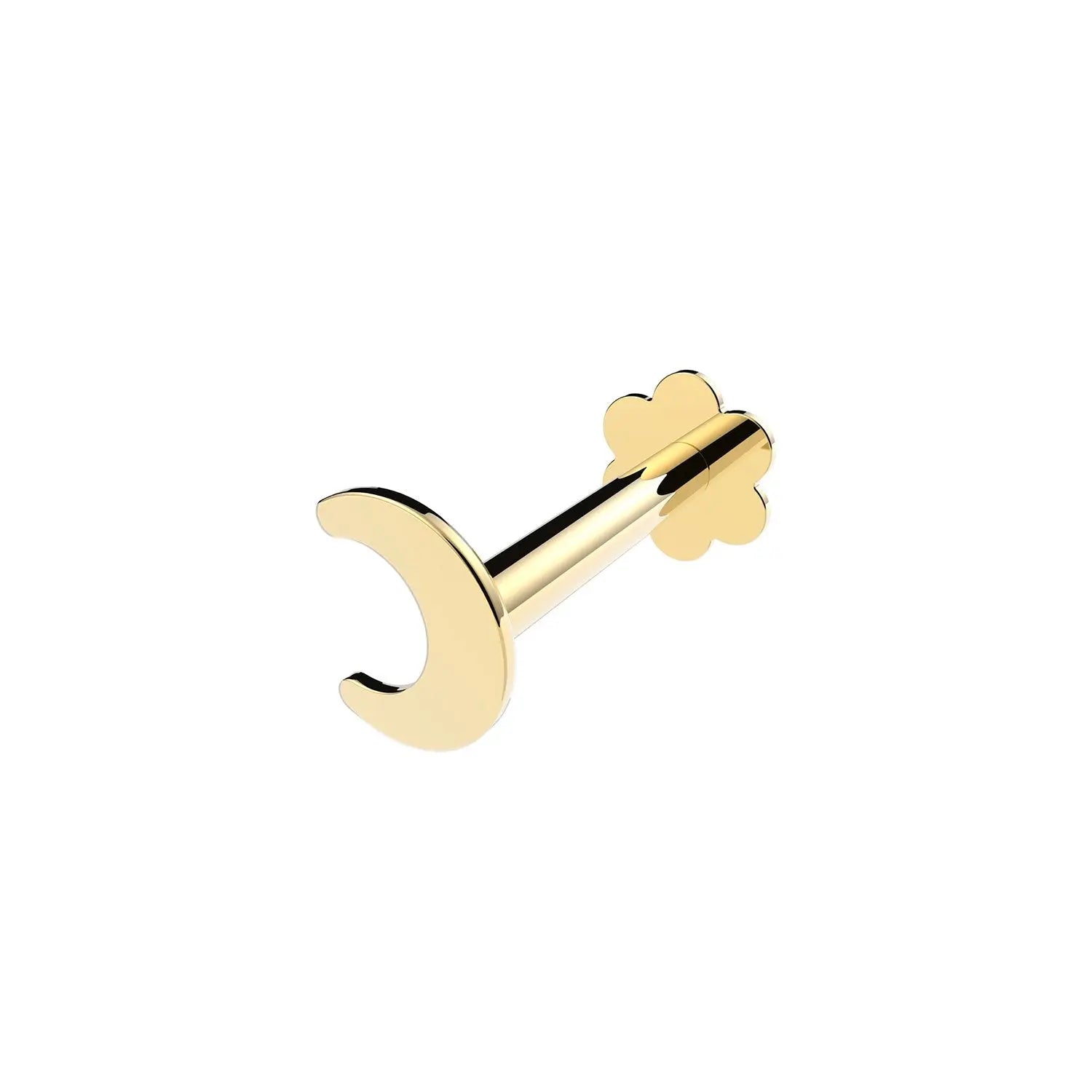 Cartilage Labret Earring